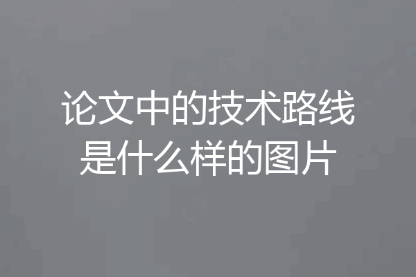 论文中的技术路线是什么样的图片
