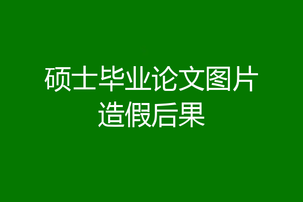 硕士毕业论文图片造假后果