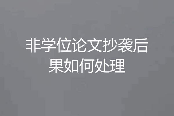 非学位论文抄袭后果如何处理