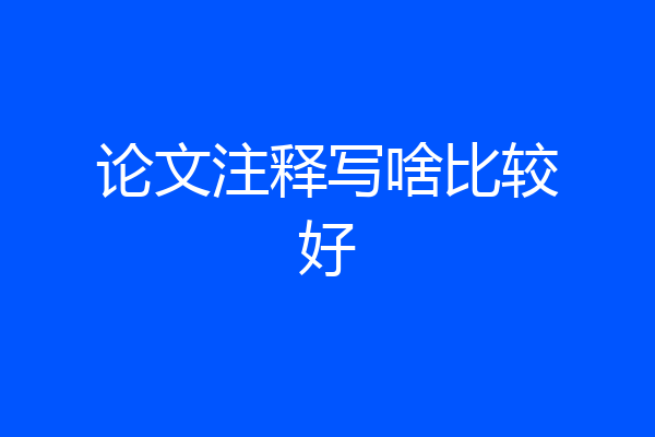 论文注释写啥比较好