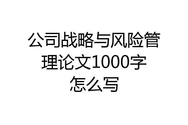 公司战略与风险管理论文1000字怎么写