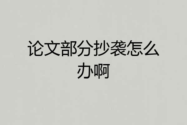 论文部分抄袭怎么办啊