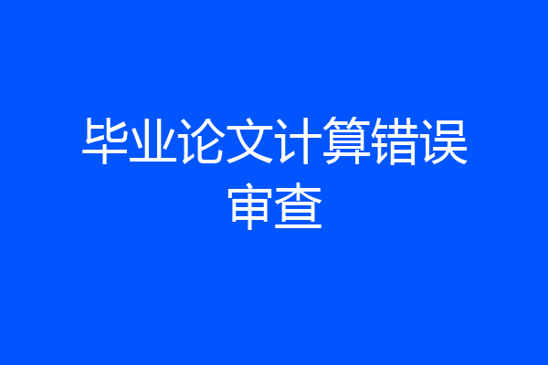 毕业论文计算错误审查