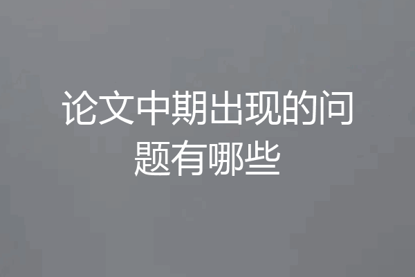 论文中期出现的问题有哪些
