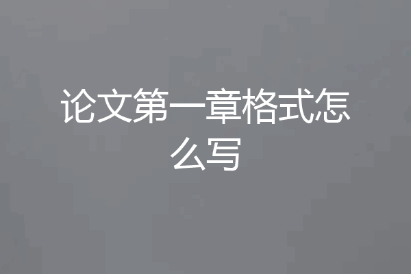 论文第一章格式怎么写
