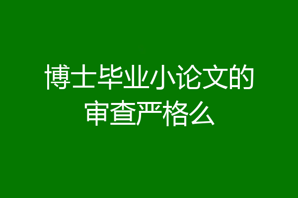 博士毕业小论文的审查严格么