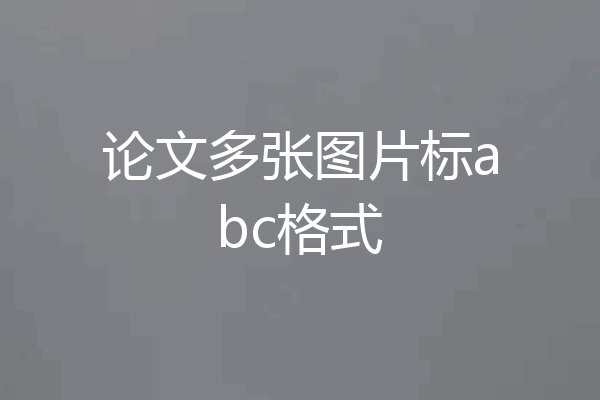 论文多张图片标abc格式