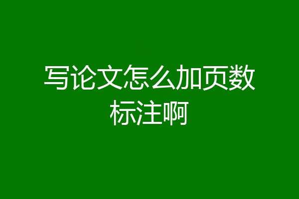写论文怎么加页数标注啊