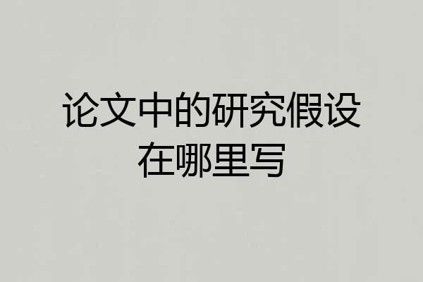 论文中的研究假设在哪里写