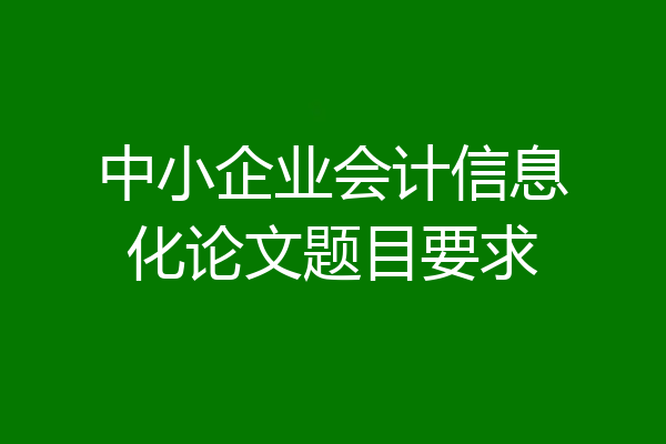 中小企业会计信息化论文题目要求