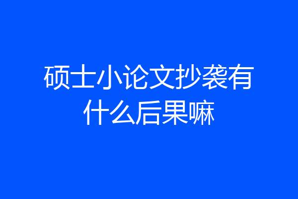 硕士小论文抄袭有什么后果嘛