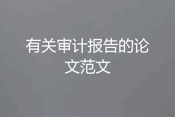 有关审计报告的论文范文
