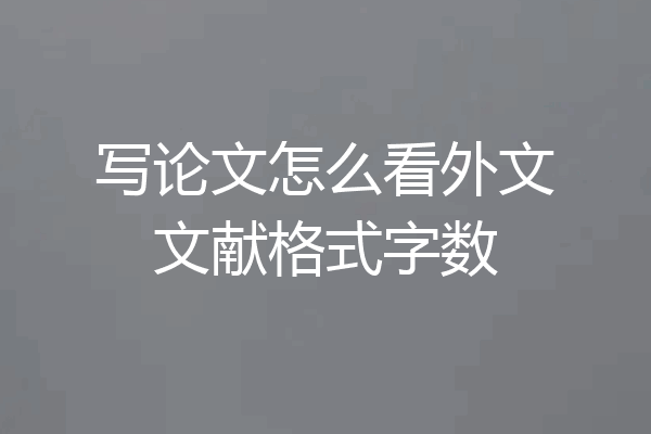 写论文怎么看外文文献格式字数