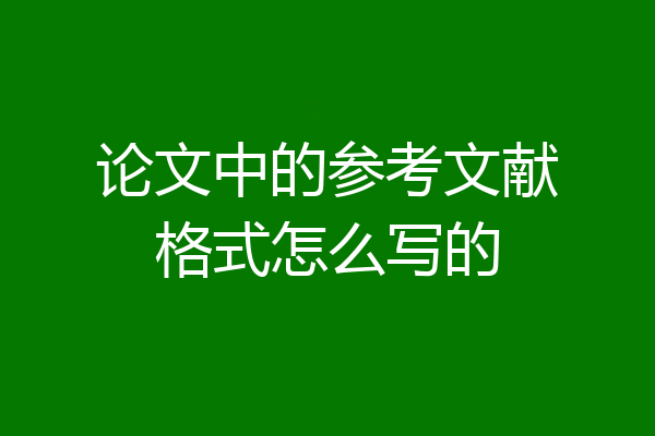 论文中的参考文献格式怎么写的