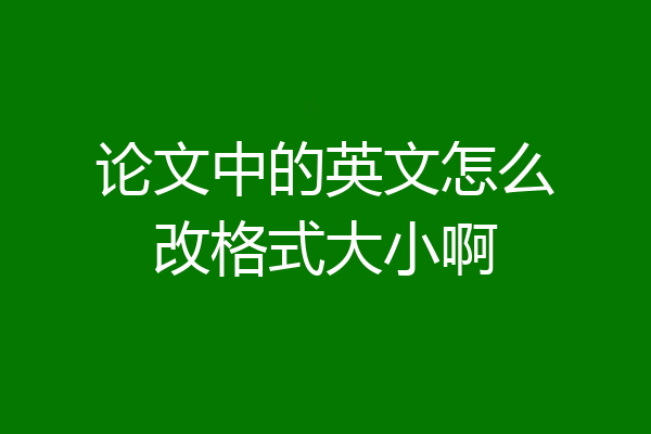 论文中的英文怎么改格式大小啊