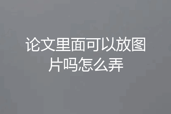 论文里面可以放图片吗怎么弄