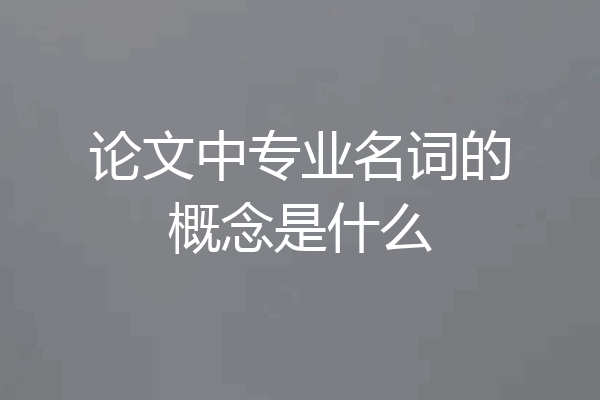 论文中专业名词的概念是什么