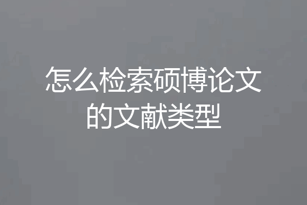 怎么检索硕博论文的文献类型