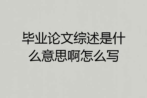 毕业论文综述是什么意思啊怎么写