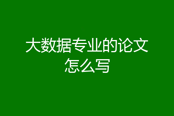 大数据专业的论文怎么写