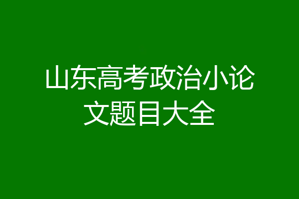 山东高考政治小论文题目大全
