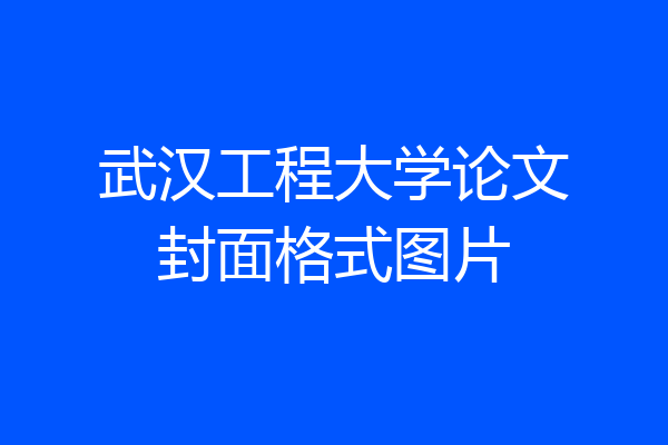 武汉工程大学论文封面格式图片