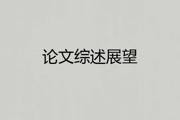 论文综述展望