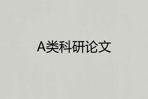 A类科研论文