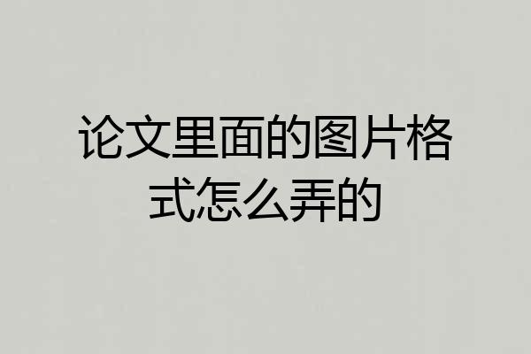 论文里面的图片格式怎么弄的