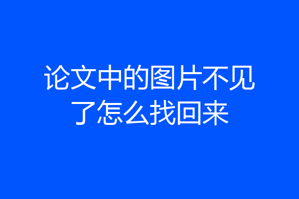 论文中的图片不见了怎么找回来