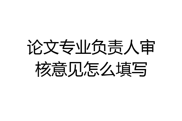 论文专业负责人审核意见怎么填写
