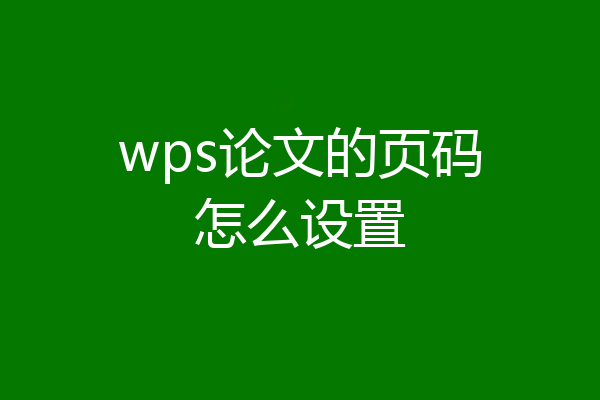 wps论文的页码怎么设置