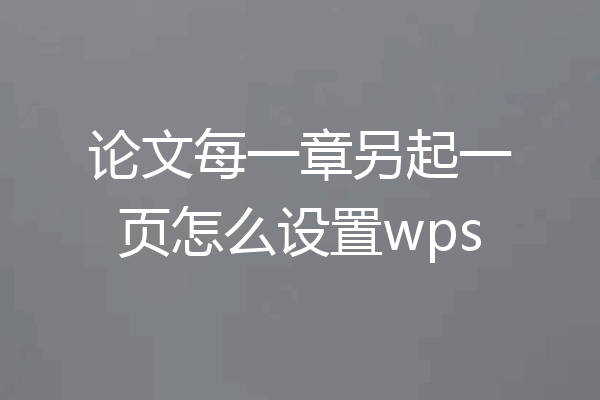 论文每一章另起一页怎么设置wps
