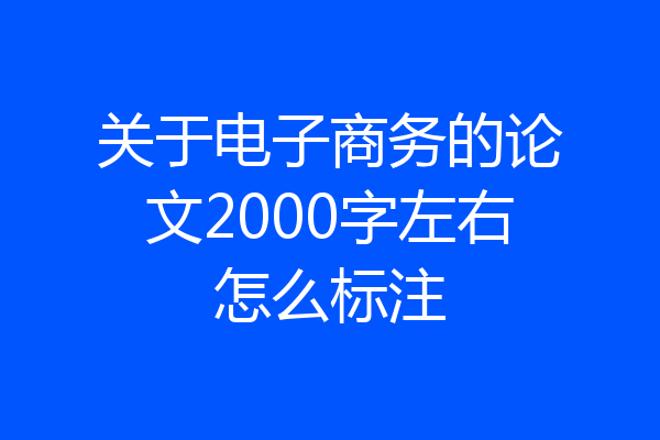关于电子商务的论文2000字左右怎么标注