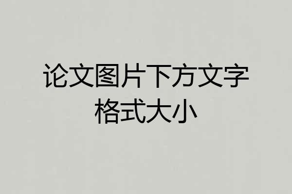 论文图片下方文字格式大小