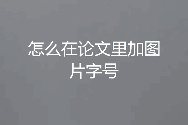 怎么在论文里加图片字号