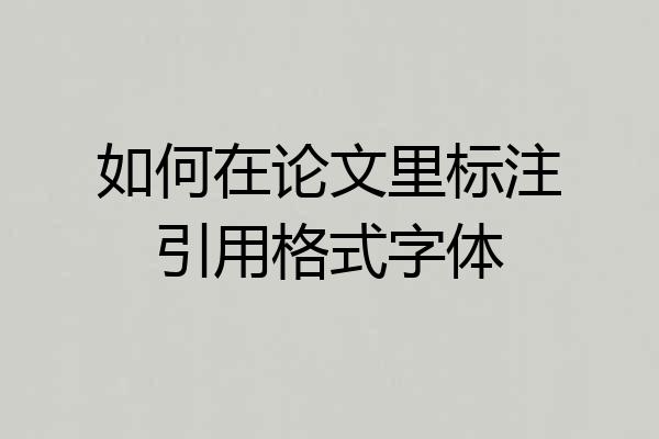 如何在论文里标注引用格式字体