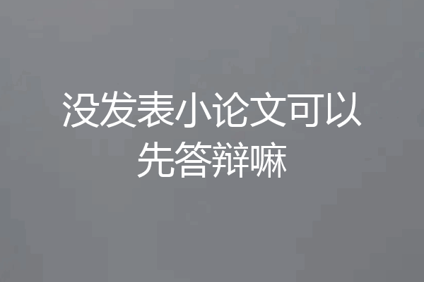 没发表小论文可以先答辩嘛