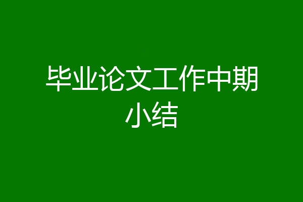 毕业论文工作中期小结