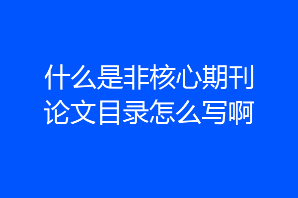 什么是非核心期刊论文目录怎么写啊