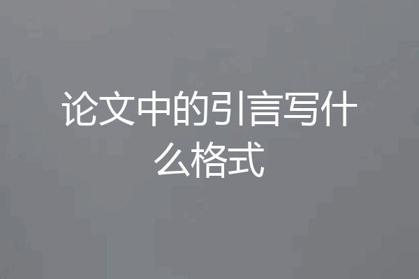 论文中的引言写什么格式