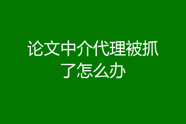 论文中介代理被抓了怎么办