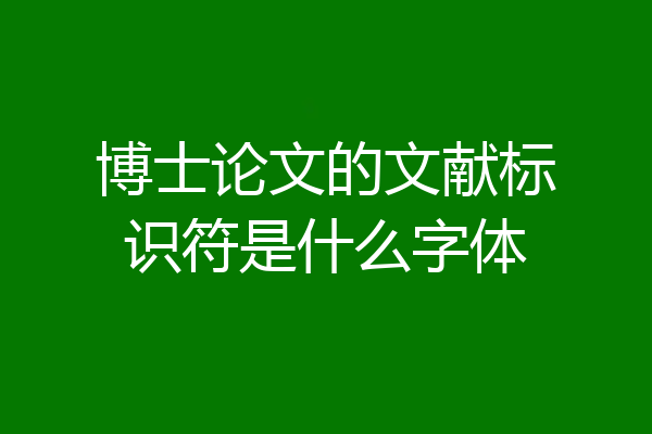 博士论文的文献标识符是什么字体