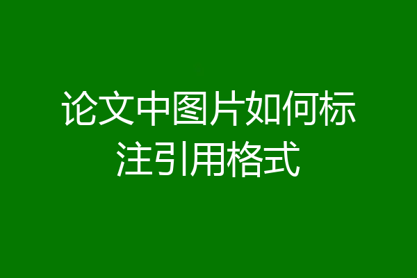 论文中图片如何标注引用格式