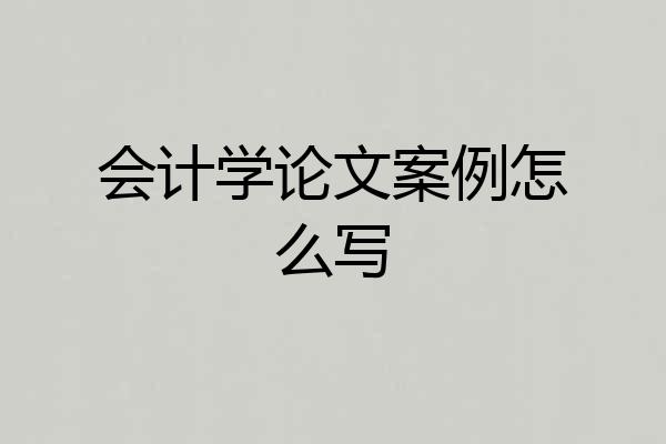 会计学论文案例怎么写