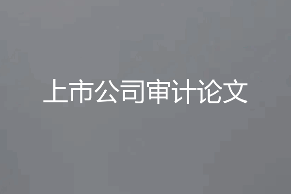 上市公司审计论文