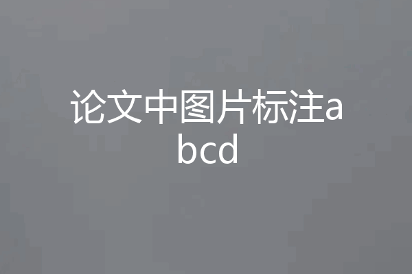 论文中图片标注abcd