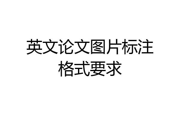 英文论文图片标注格式要求