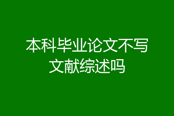 本科毕业论文不写文献综述吗