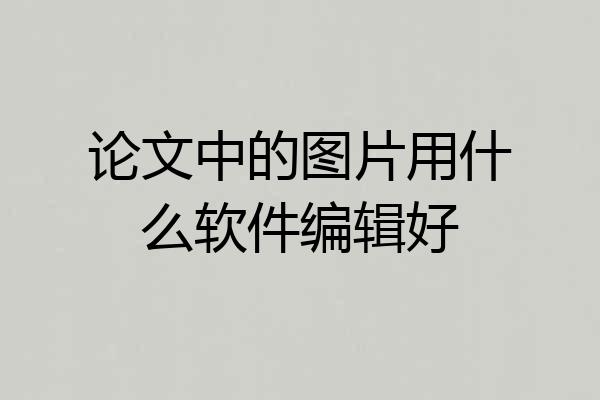 论文中的图片用什么软件编辑好